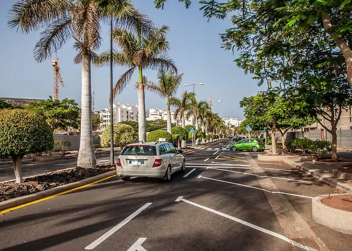 Duplex Palm Mar B32 *