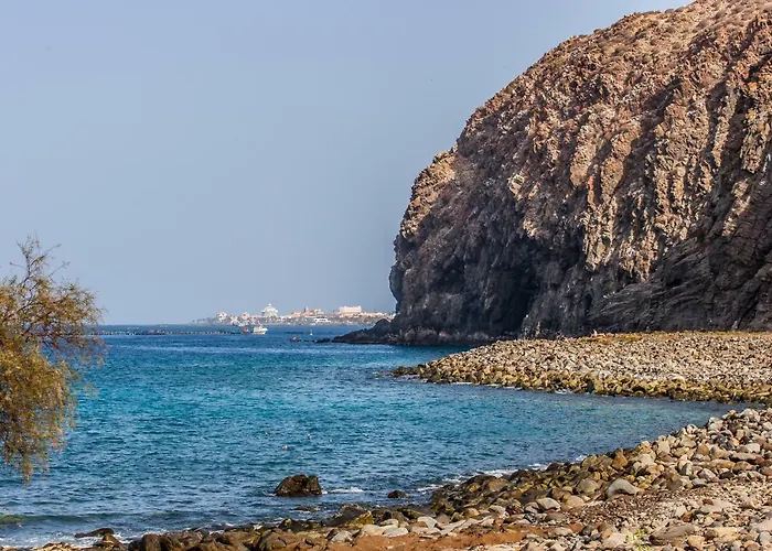 Duplex Palm Mar B32 *